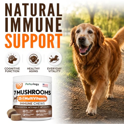 Image of (2 Pack) Turkey Tail Mushroom for Dogs - 340 Chews - Mushrooms for Dogs