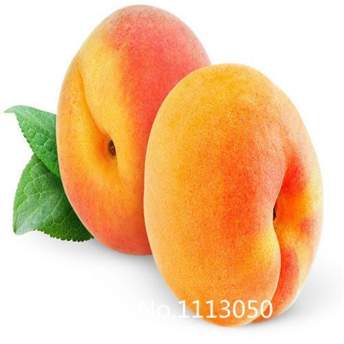 Promotion Dwarf bonanza peaches, Peach Tree - Peach seeds - Fruit seeds bonsai seeds - 10 pcs Novel Seed