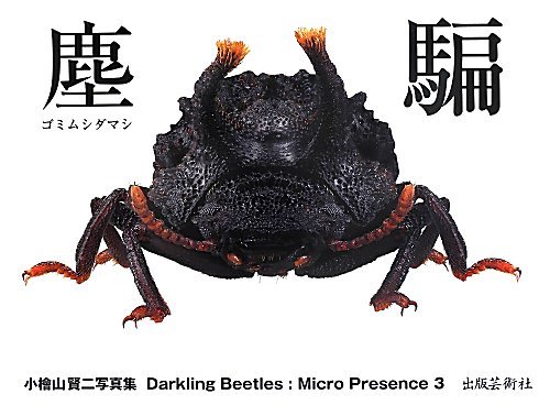 【異形塵騙】背中に爆弾を抱えたMorphostenophanes標本 塵騙 ゴミムシダマシ: マイクロプレゼンス3 | 小檜山賢二 |本 | 通販