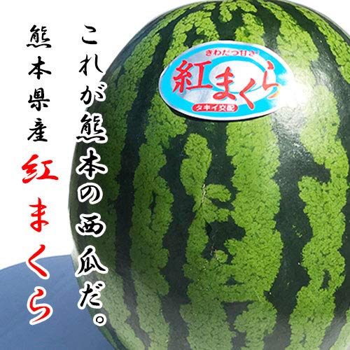 Amazon.co.jp: 紅まくら 熊本産 大玉すいか 約5キロ 1玉入り : 食品