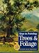 Keys to Painting Trees & Foliage