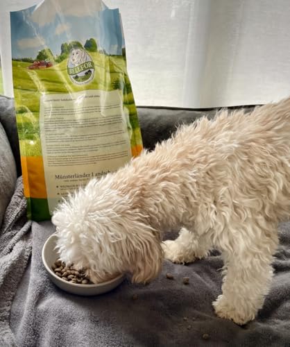 Bellfor Landgut-Schmaus Mini Hypoallergenes Getreidefreies Trockenfutter mit Insektenprotein 2,5 kg - für kleine Hunderassen