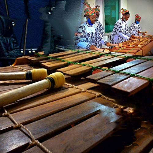 Beethoven(Moonlight sonata)[1st movement][Xylophone] by Rhumsiki Choir