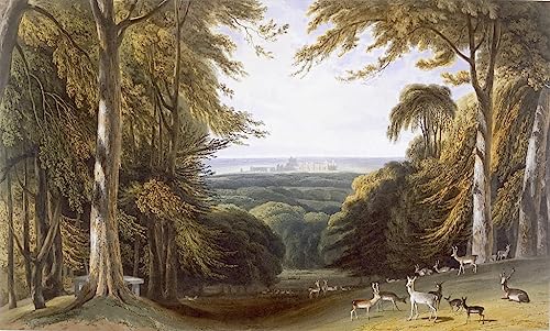 Affiche Windsor Park William Daniell pour décorer un salon moderne chic