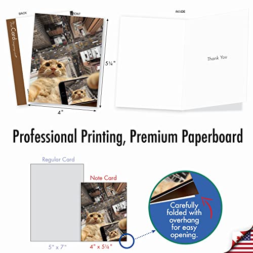Image of The Best Card Company 10 Assorted Thank You Notecards Bulk Box Set 4 x 5.12 Inch with Envelopes (10 Designs, 1 Each) Cats Selfie M4953TYG-B1x10