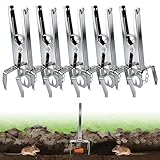 Enhon Piège à campagnols 5 pièces avec chaîne   Pointu et réutilisable   Piège à campagnols à Clips   Capture Double Face | Piège à campagnols Efficace pour Jardin et pelouse