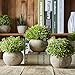 Jobary Set de 3 Plantas Artificiales con Césped Verde en Macetas Grises,...