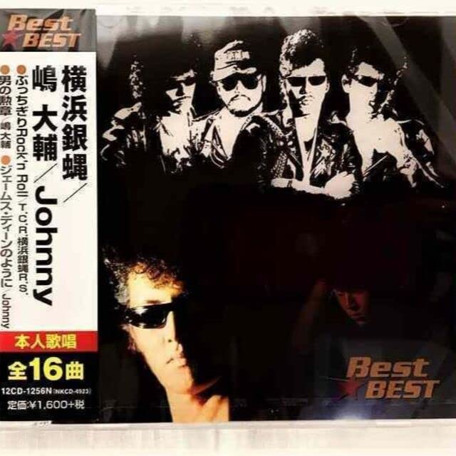 横浜銀蝿嶋大輔サングラス