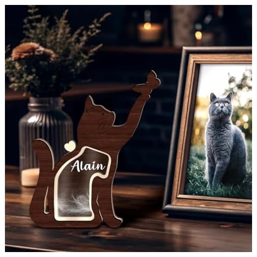 Personalisierte Katzenhaare-Erinnerungsbox