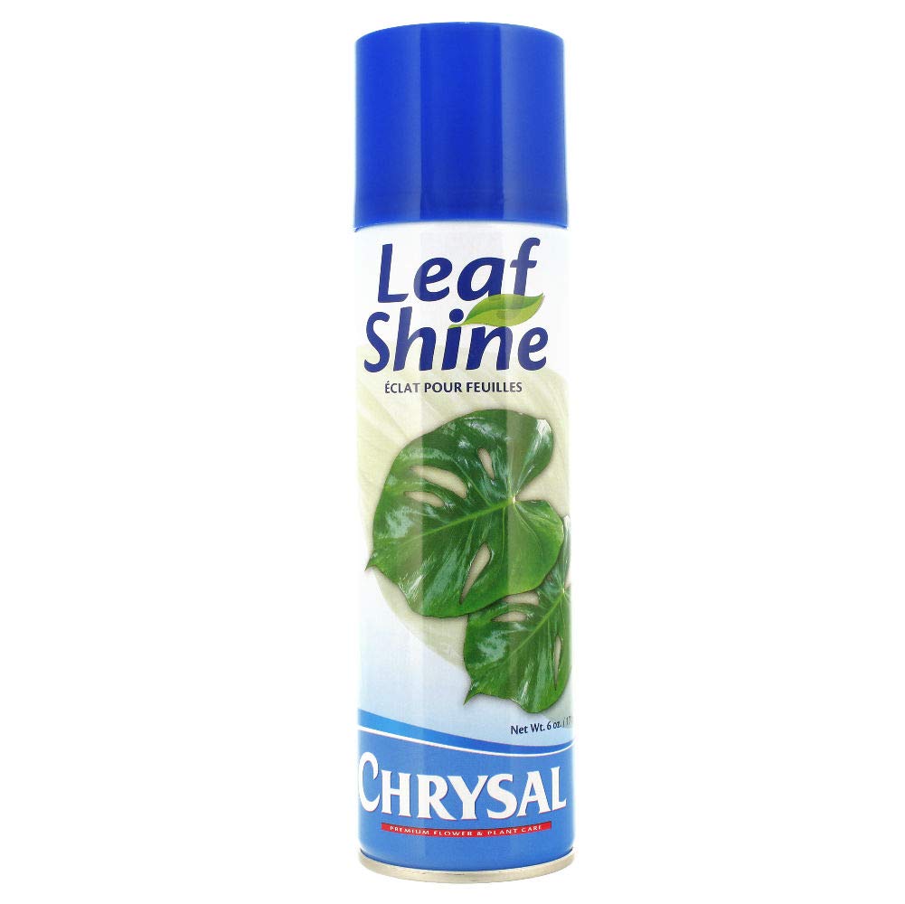 Chrysal Leaf Shine Spray Flower & Plant Aerosol Spray For Indoor Plants, Flower Bouquets