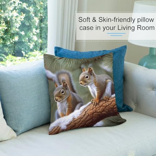 Housse de coussin peluche double face pour protéger et décorer le canapé - 7