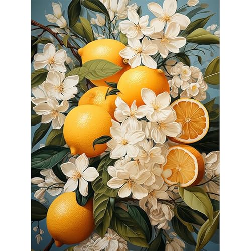 HEIBAGO Pintar por Números para Adultos, Pintura de Frutas por Números Kits para Principiantes, Pintura por Números, Lienzo de Frutas para decoración de Pared, 30x40cm