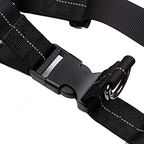 DECDEAL Arnês para animais de estimação OSOSE com conjunto de trela de 59 polegadas para andar à pro