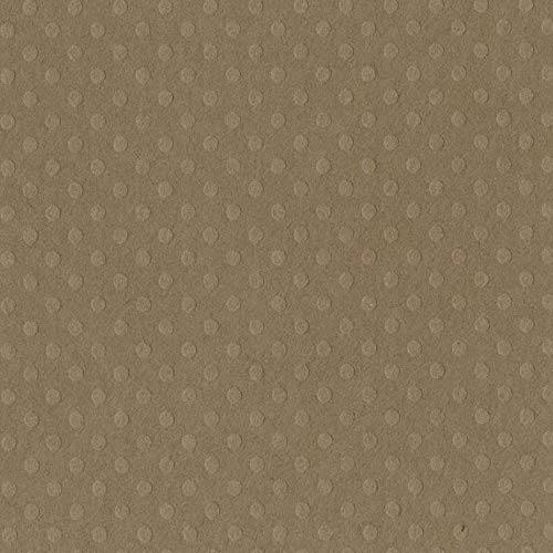 Bazzill Basics Mud Puddle - 12X12 Dotted Swiss Cardstock By Bazzill | 80 Lb Swiss Dot Embossed Brown Scrapbook Paper | Premium Card Making Cardstock For Paper Crafts | 25 Sheets, 25 Pack #TOP14