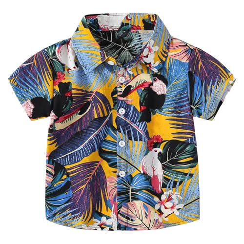 [TXWZM] xr[ j̎q t xr[ 80  tVc q |Vc LbY j̎q  n q ̎q V[g gbvX LbY _X _炩 W[W LbY  |Vc LbY Ԃ o i