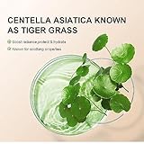 CC Cream with Centella Asiatica - Lightweight Color Correcting Skin Perfector, Full Coverage Tinted Moisturiser, Invisible Pores Face Concealer Makeup with SPF 25 - Image 4