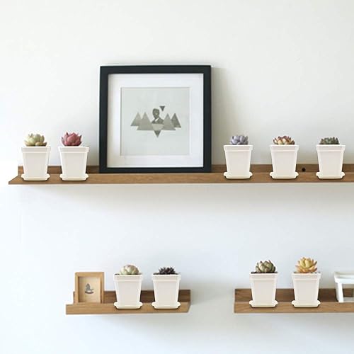 Miniatura 6 de Foxany 30 macetas de 3 pulgadas macetas cuadradas de plástico grueso macetas de plántulas 30 macetas de inicio de semillas con 30 platillos color