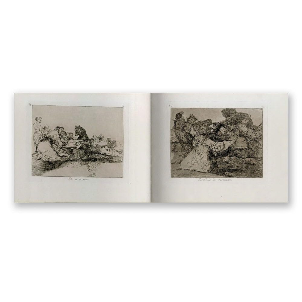 Goya: The Disasters of War /anglais