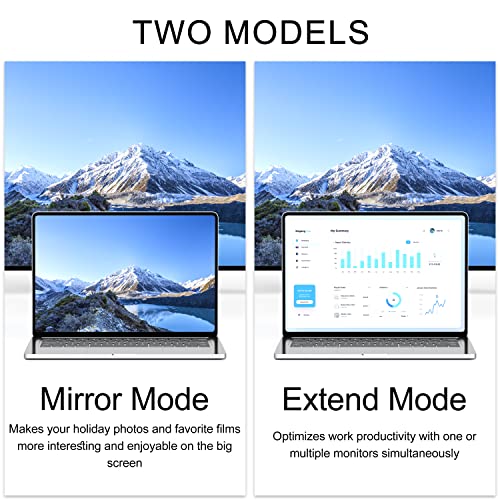 Ryzzrooa Dvi To Hdmi Adapter, 2-Pack Bidirectional Dvi-D (24+1) To Hdmi Male To Female Adapter With Gold-Plated For Computer, Monitor, Projector, Tv, Ps3/4/5 Nintendo Switch And More … #TOP3