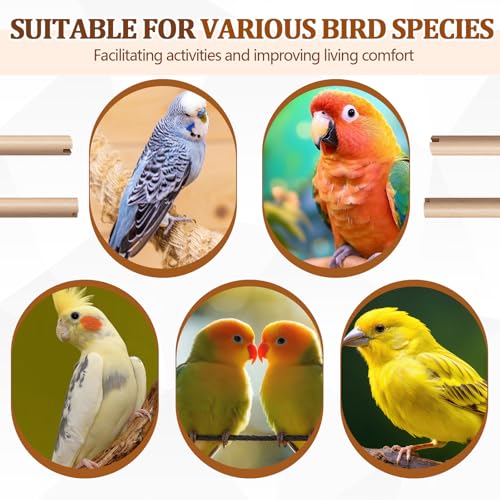 Image of Sintuff 8 Pcs Bird Perches for Cage Accessories, Wooden Perch Rods Replacement with Double Head Slots, 0.6 Inch Diameter Natural Wood Stand for Parrot Macaw Cockatoo Parakeet (15 Inches)