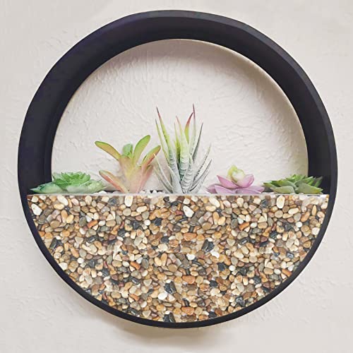 Galets pour plantes d'intérieur pour vase et plantes grasses, pierres décoratives de 1,1 kg - 7