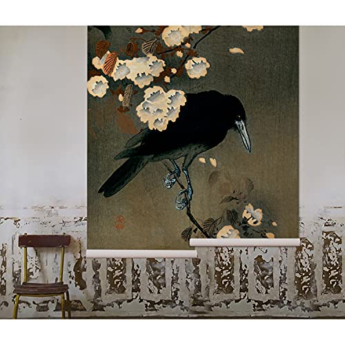 Papier peint grand format Coloray Le corbeau pour masquer les défauts du mur