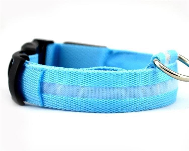 Super reflective light up rechargeable LED dog collars, 5 options in 3 sizes. Adjustable