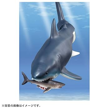 Amazon.co.jp: タカラトミー アニア AL-11 メガロドン (水に浮く