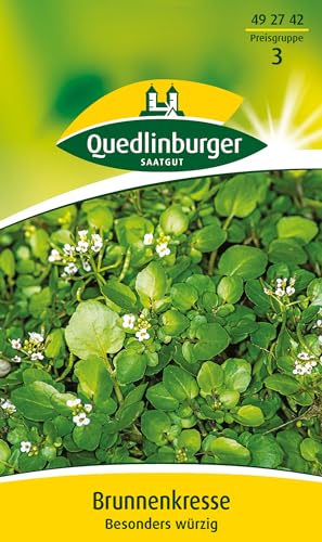 Brunnenkresse-Samen Quedlinburger Brunnenkresse