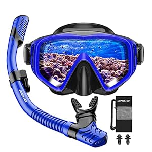JEMULICE Gafas y Tubo de Snorkel Set para Adulto, Panorámico de 180° Gafas de Buceo Adulto de Cristal Templado y Dry Top Snorkel, Equipo de Buceo Juego de Snorkel Profesional para Mujeres Y Hombres