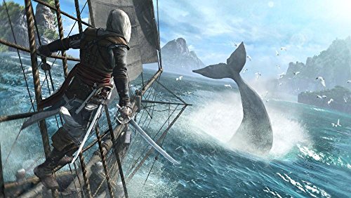 Assassin' Creed 4 : Flag Playstation Hits PS4 - vue 5