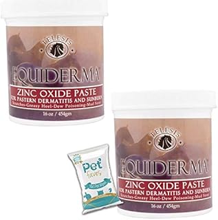 ( 2 Pack) EQUIDERMA Zinc Oxide Paste 16oz for Pastern Dermatitis and Sunburn with 10ct Pet Wipes