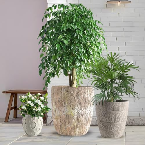 ShangDemonMaster Round Concrete Style Planter Set of 3, Large Outdoor Flower Pots with Drainage, Stone Texture Plant Pots for Indoor Outdoor Garden, Patio & Balcony Décor (3, Sandstone)