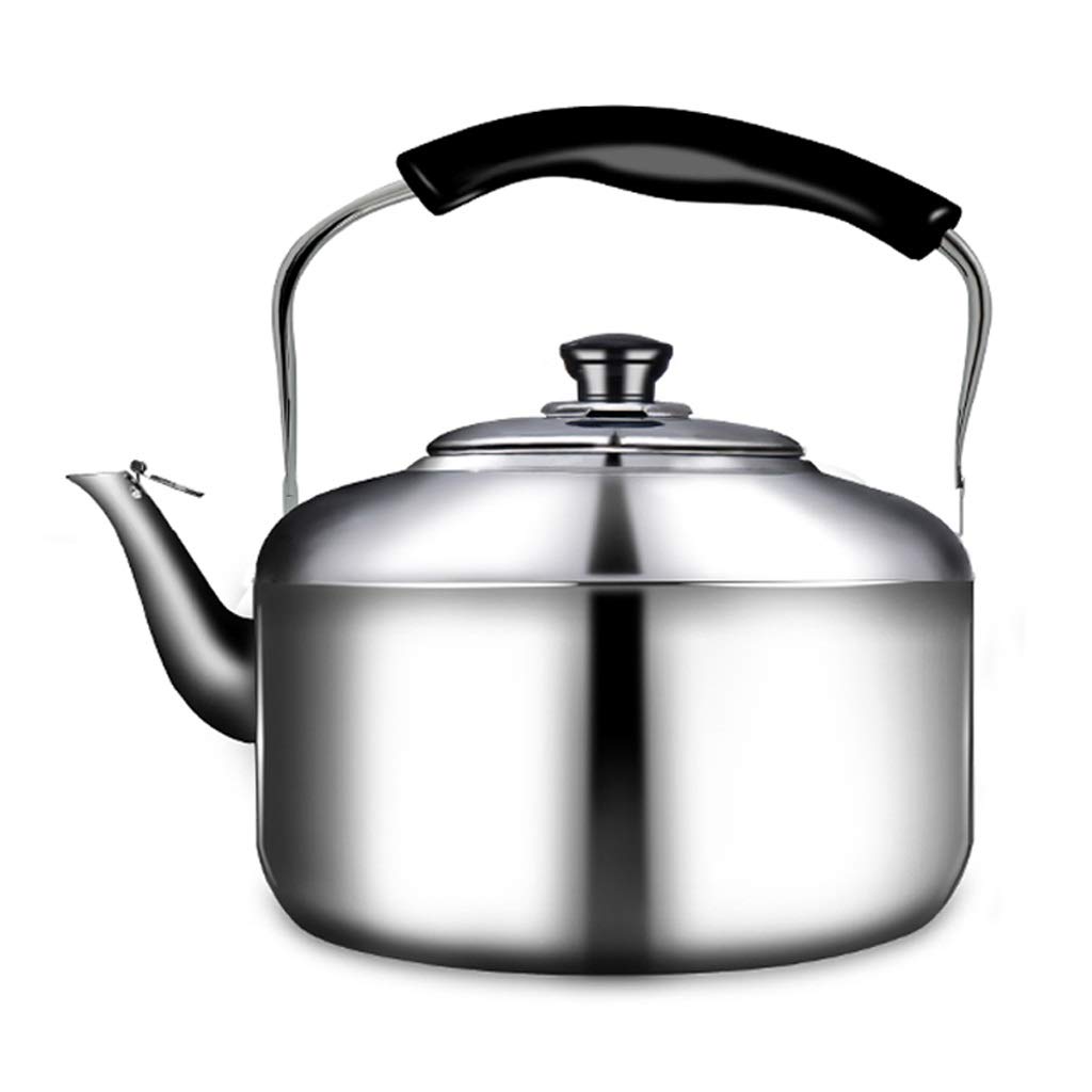Buy Fast Boil Jug Kettle 4 Liter Whistling Tea Kettle Polished Mirror