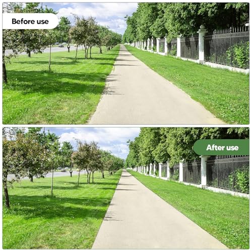 Ricyea Rasenkantenschneider mit Stiel, Kantenschneider Rasen Kantenmesser mit Rolle, Einstellbarer Edelstahlgriff, 2025 PRO Gartenzubehör zum Abstechen von Rasenkanten