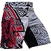 Produktbild Hardcore Training Viking 2.0 Fight Shorts Kurze Hose Herren MMA BJJ Grappling Fitness Boxen Muay Thai No Gi