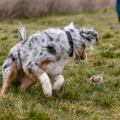Image of Dog and Puppy Toy Set - Chew, Teething, Rope, and Tug Toys for Small to Medium Dogs - Washable Cotton Rope for Dogs (Rope Ball)