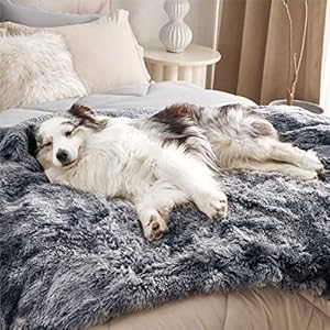 Bedsure-Waterproof-Dog-Blankets-for-Large-Dogs-Calming-Cat-Blanket-for-Couch-Protector-Washable-Long-Faux-Fur-Pet-Throw-Blanket-for-Puppy-Reversible-Furniture-Protection-50x60-Tie-dye-Grey - Cucciolini Doodles   Bedsure-Waterproof-Dog-Blankets-for-Large-Dogs-Calming-Cat-Blanket-for-Couch-Protector-Washable-Long-Faux-Fur-Pet-Throw-Blanket-for-Puppy-Reversible-Furniture-Protection-50x60-Tie-dye-Grey