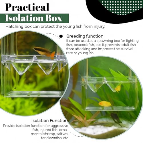 Image of VAYINATO Aquarium (Large) Guppy Double Deck Breeding Box with Suction Cups - 13x10x7cm | Transparent Isolation & Breeding Tank for Fish, Fry & Betta | Sturdy, Safe & Easy to Use