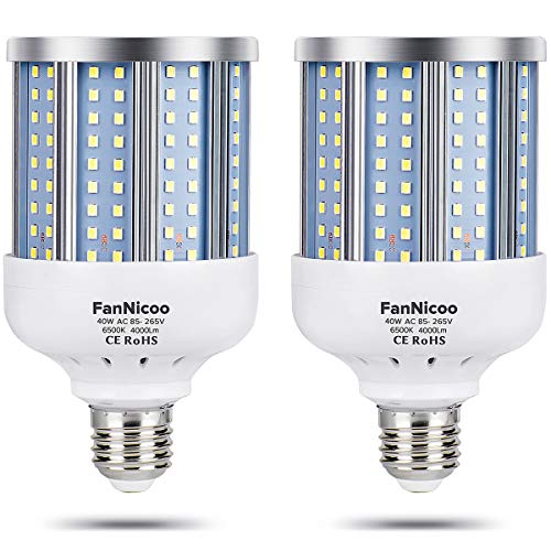 Best Corn Bulbs With Covers