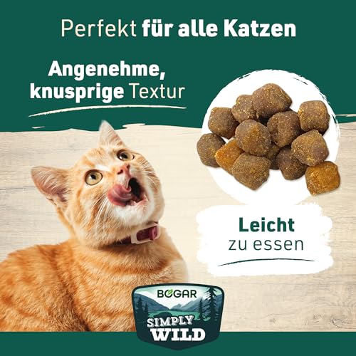 Bogar – Simply Wild – Katzenleckerlis als Ergänzung zur Katzenfutter – Schmackhafte Katzensnacks mit Lachs – Leckereien für Katzen zur optimalen Katzenpflege – In Form von leckeren Häppchen – 60 g