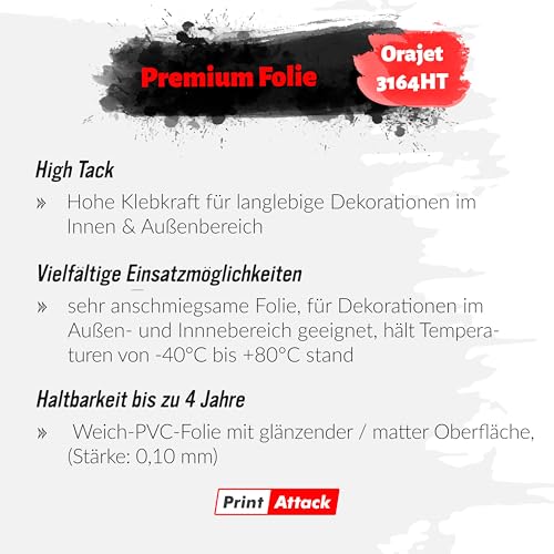 P010 Anfänger Aufkleber 3er Set – Auswahl: Anfänger oder Anfängerin – Lustige Autoaufkleber für Fahranfänger – wetterfest – PrintAttack – je 17x8,5 cm (Variante 1 Anfängerin)