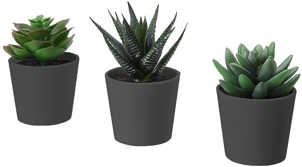 PAPERI Artificial Succulent Plants for Home Décor – Set of 3 Faux Succulent Flowers with Black Pots, Indoor Decoration for Living Room, Desk, & Bathroom-image-9