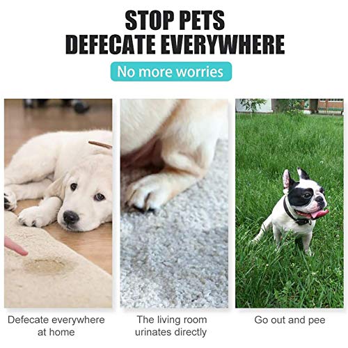 Ardorman Hundetöpfchen-Trainingsspray, Haustier Toilette Trainingshilfespray, Hundetoiletten Trainingsspray Induktor, Welpentraining-Spray Hundekatze
