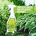 LERAVA Neemöl Spray (700 ml) – Pflanzenpflege mit Emulgator – Natürliches Mittel gegen Trauermücken & Blattläuse – Bio Blattpflege stärkt Pflanzenabwehr – Für Zimmerpflanzen & Garten - Neem Öl