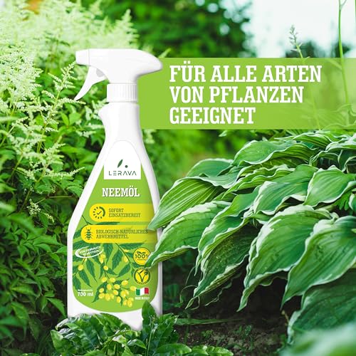 LERAVA Neemöl Spray (700 ml) – Pflanzenpflege mit Emulgator – Natürliches Mittel gegen Trauermücken & Blattläuse – Bio Blattpflege stärkt Pflanzenabwehr – Für Zimmerpflanzen & Garten - Neem Öl