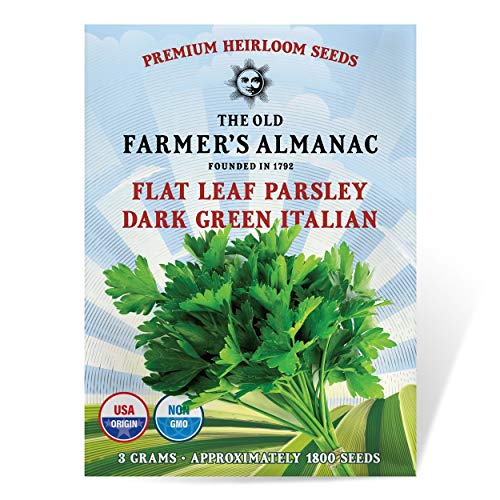 The Old Farmers Almanac Heirloom Parsley Seeds (Dark Green Italian Flat Leaf) - Approx 1500 Seeds - Non-GMO Open Pollinated USA Origin
