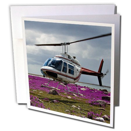 3drose Grußkarten-Set 'Hubschrauber Im Weidenröschen-Feld' – 12 Blanko-Karten Mit Umschlägen (15,2 X 15,2 Cm)