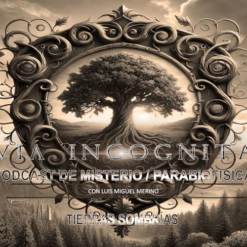 Tierras Sombr&iacute;as 14 - Witsman's Wood copertina