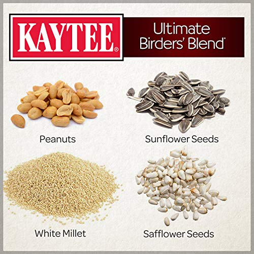 Kaytee Wild Bird Ultimate Birder's Blend Food Seed For Grosbeaks, Cardinals, Nuthatches, Woodpeckers & Other Wild Birds, 10 Pound #TOP1
